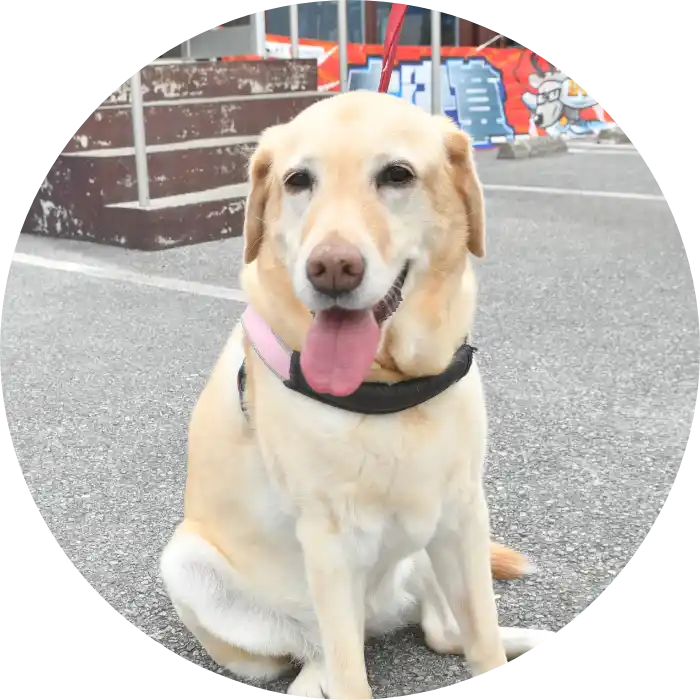 カーショップアーススタッフの写真