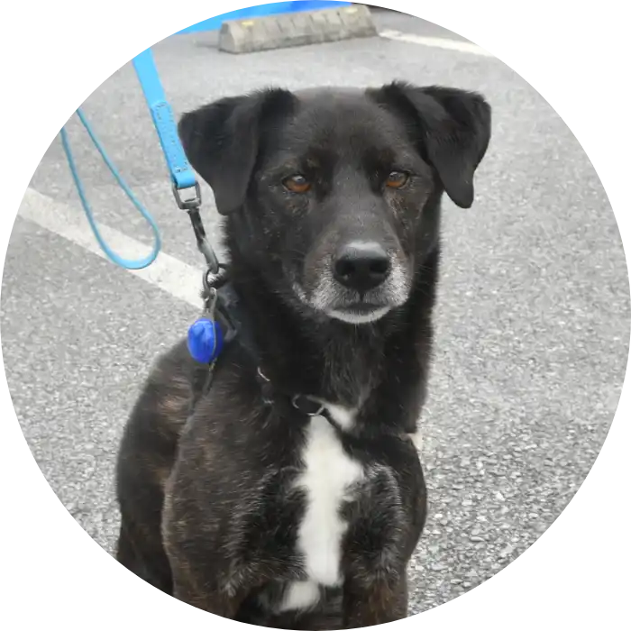 カーショップアーススタッフの写真