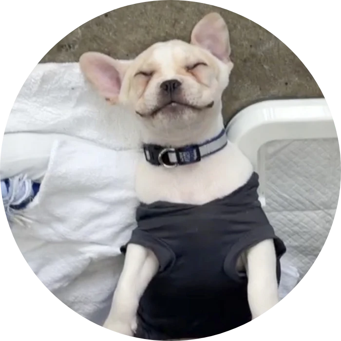 カーショップアーススタッフの写真